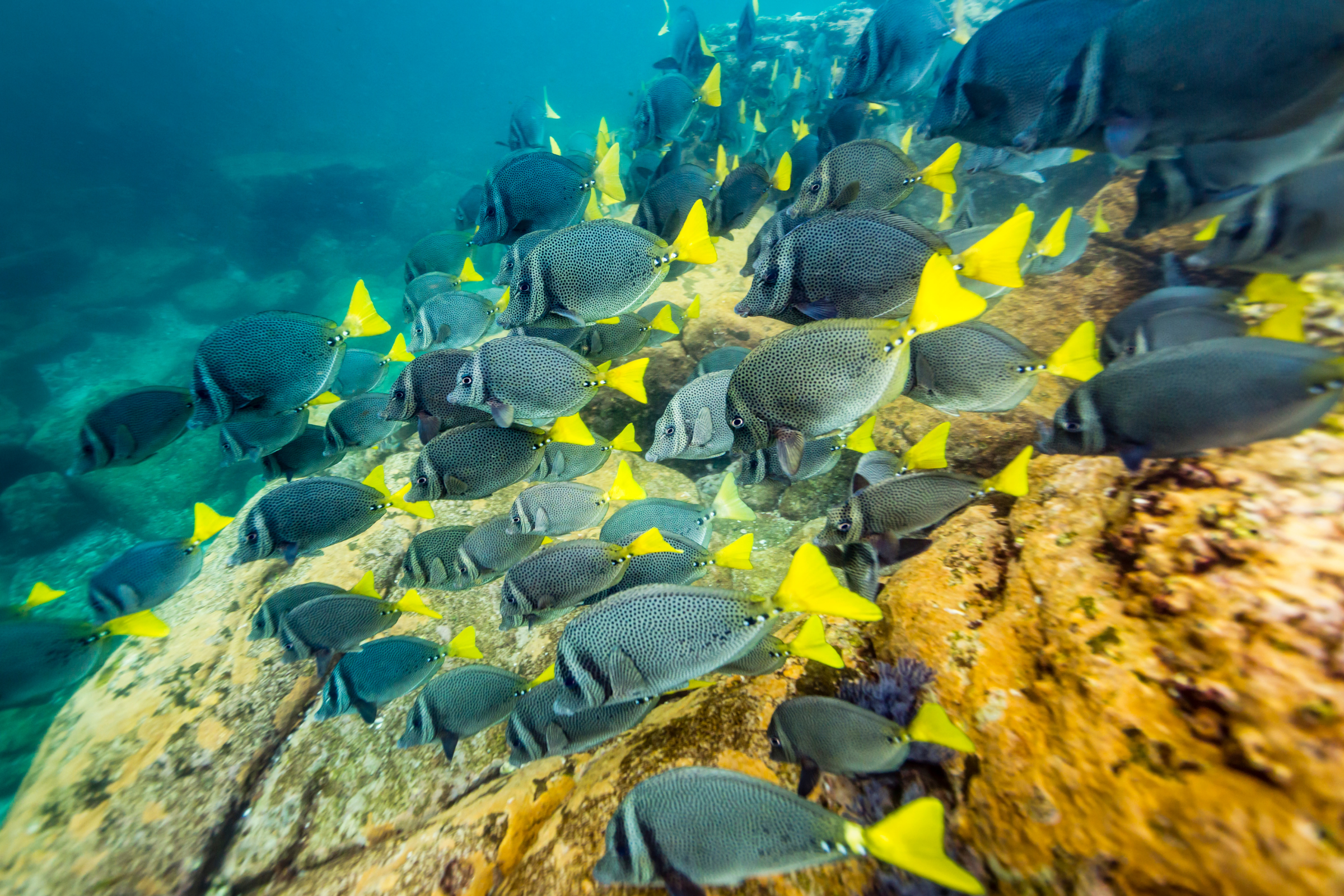 21 isla los islotes.webp